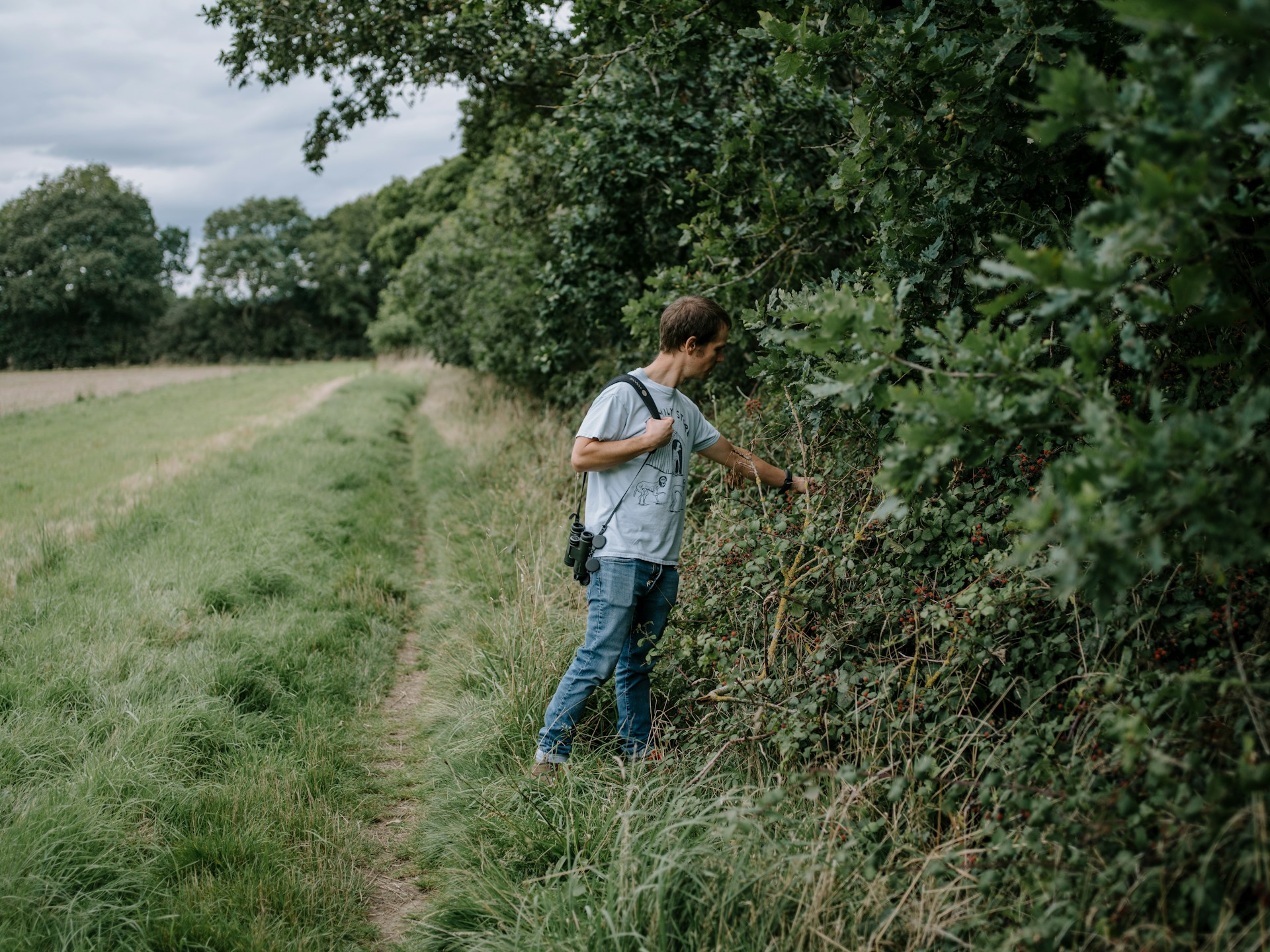 Man foraging in a hedgerow