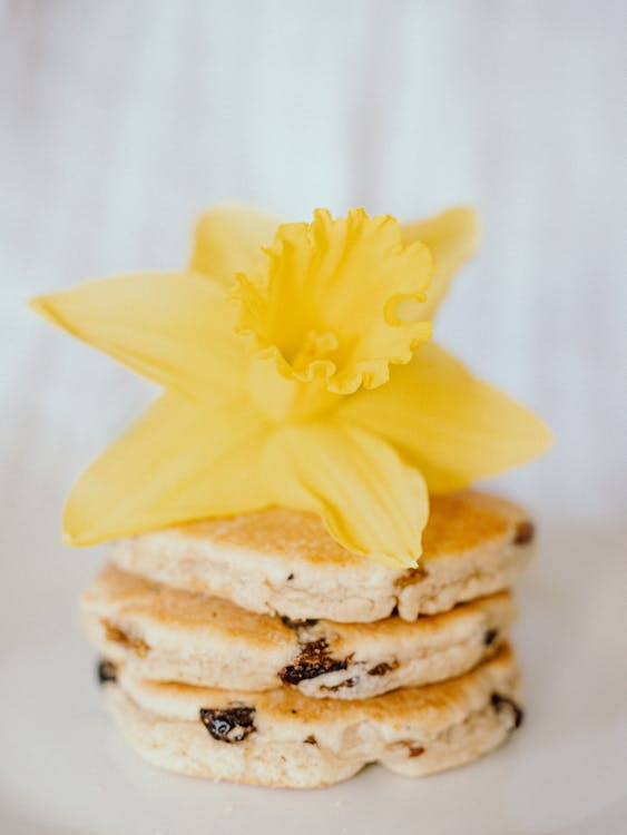 Welsh cakes with daffodil
