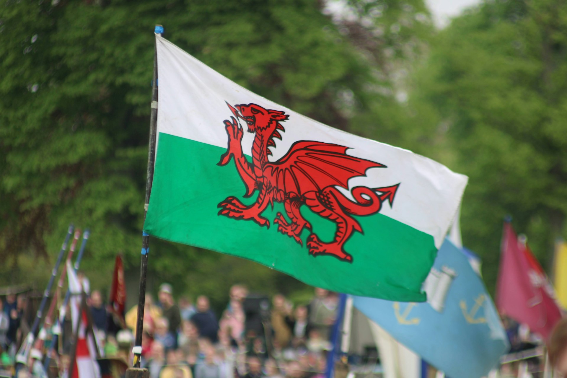 The Welsh flag being used at a celebration 