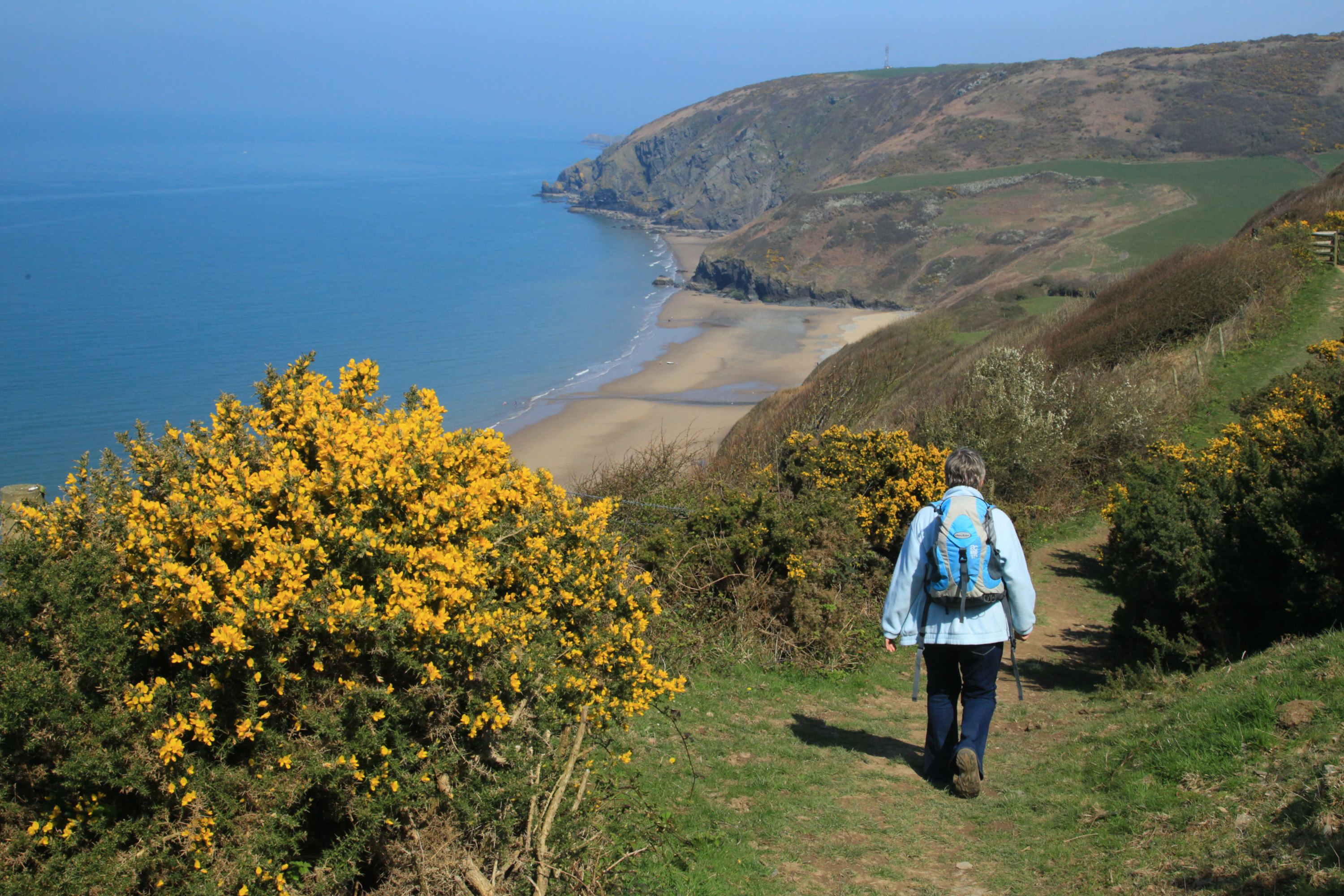 january-walks-in-west-wales-west-wales-holiday-cottages