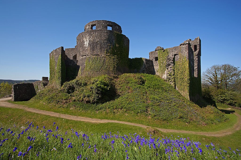 Dinefwr Castle